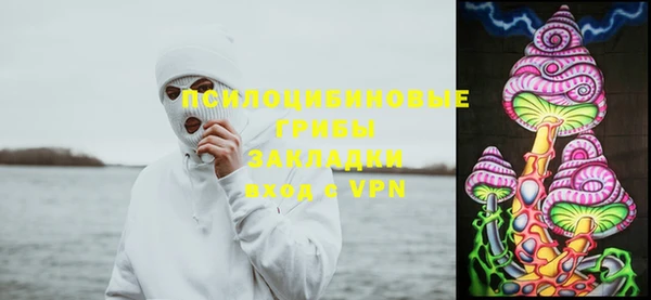 не бодяженный Няндома