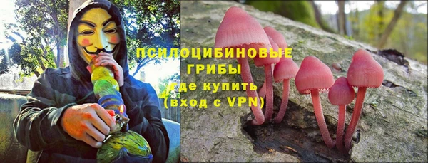 не бодяженный Няндома
