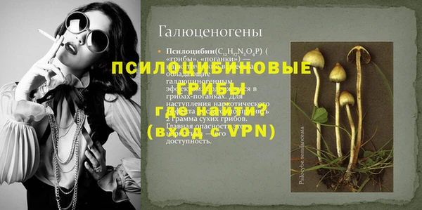 спиды Осташков