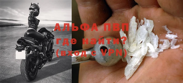 PSILOCYBIN Губаха
