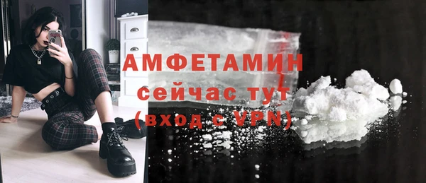 гидра Грязовец